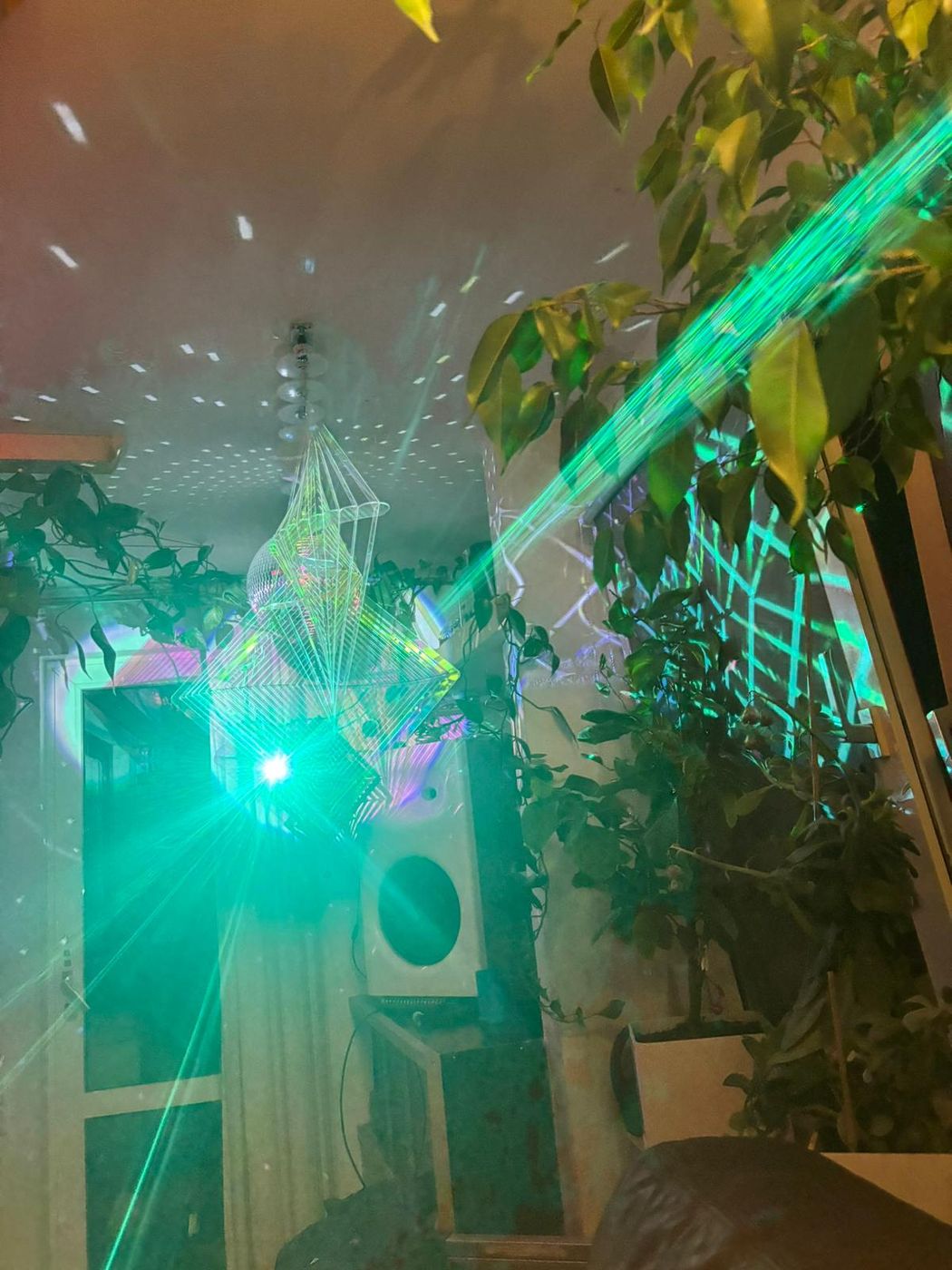 Lichtspiele von Thomas — buntes Licht zwischen Pflanzen